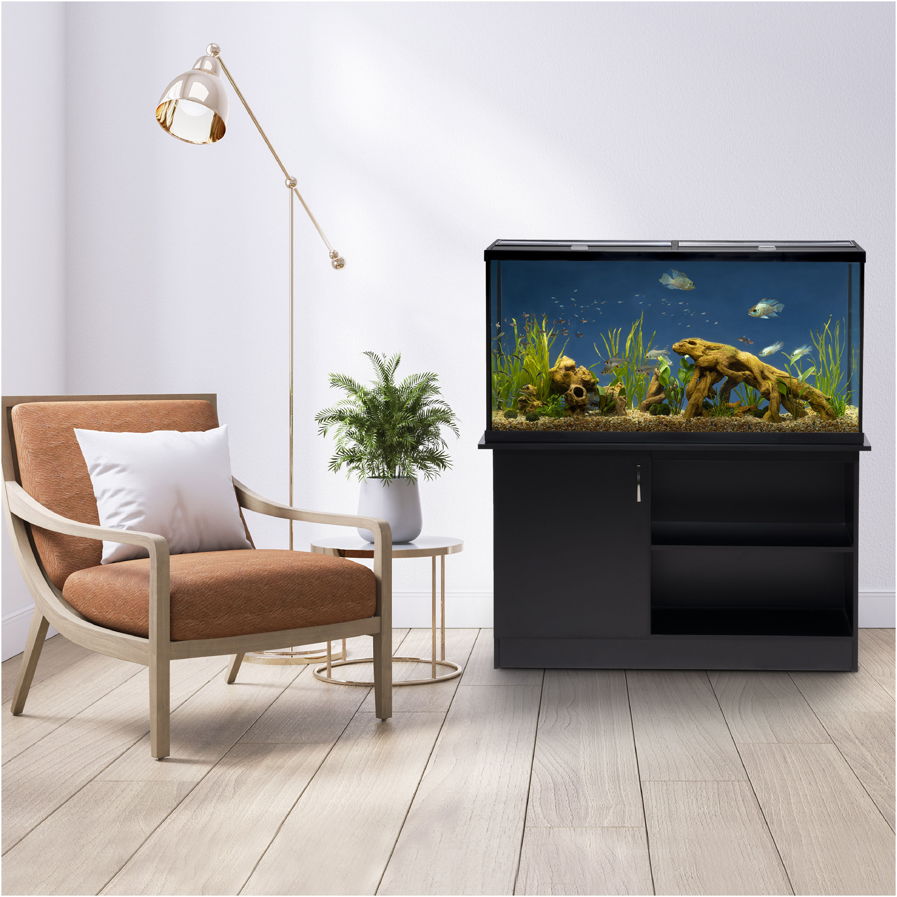 Petsmart discount 60 gallon